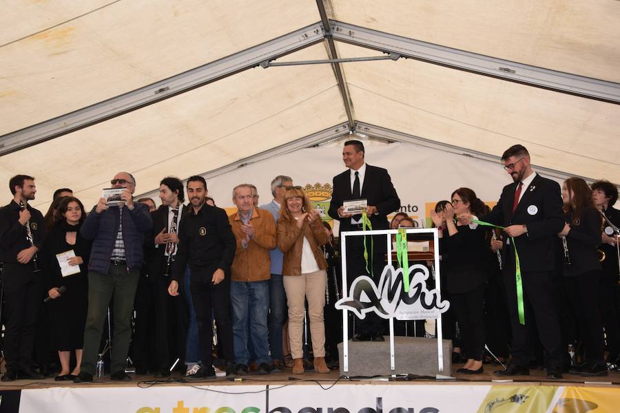 Fotos: Festival de bandas de música en Guardo