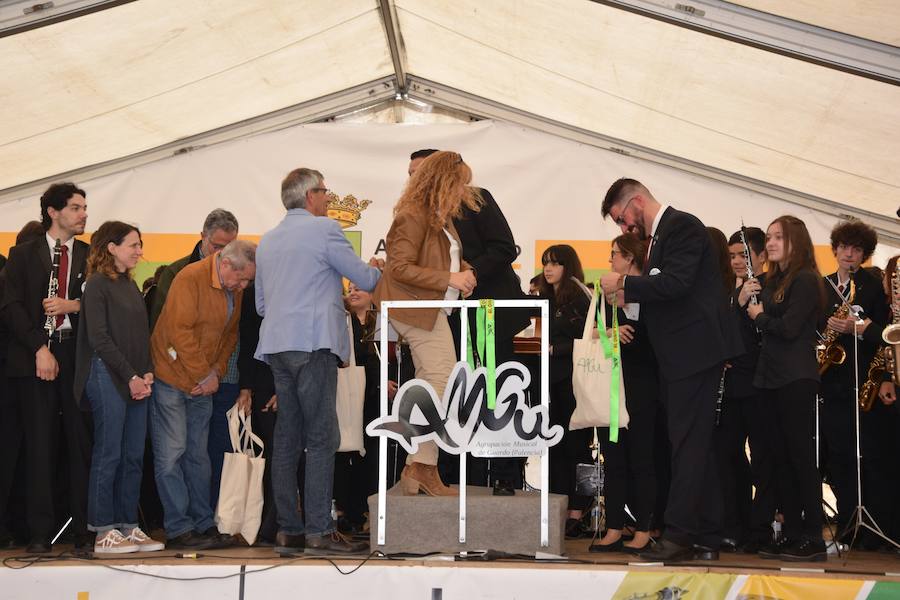 Fotos: Festival de bandas de música en Guardo