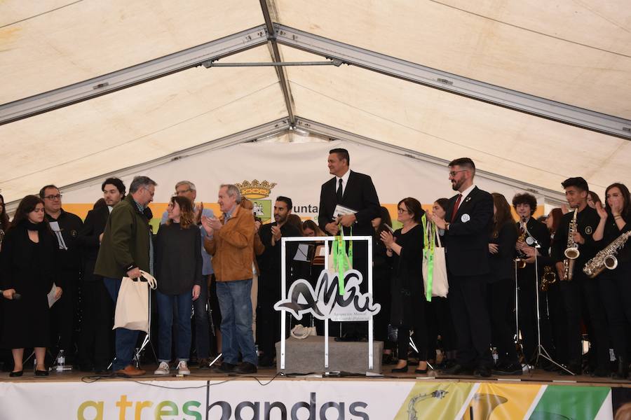 Fotos: Festival de bandas de música en Guardo