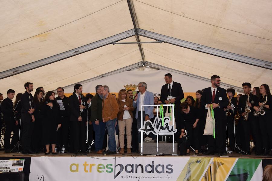 Fotos: Festival de bandas de música en Guardo