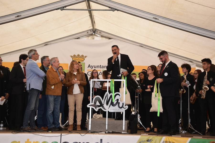 Fotos: Festival de bandas de música en Guardo