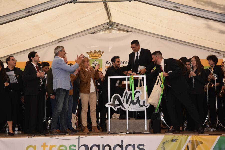 Fotos: Festival de bandas de música en Guardo