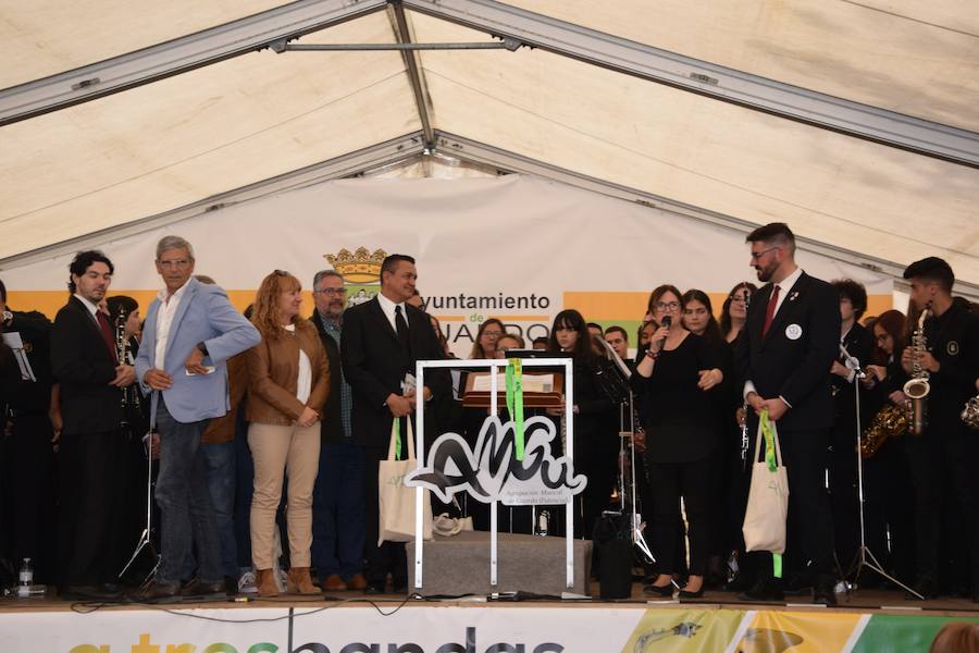 Fotos: Festival de bandas de música en Guardo