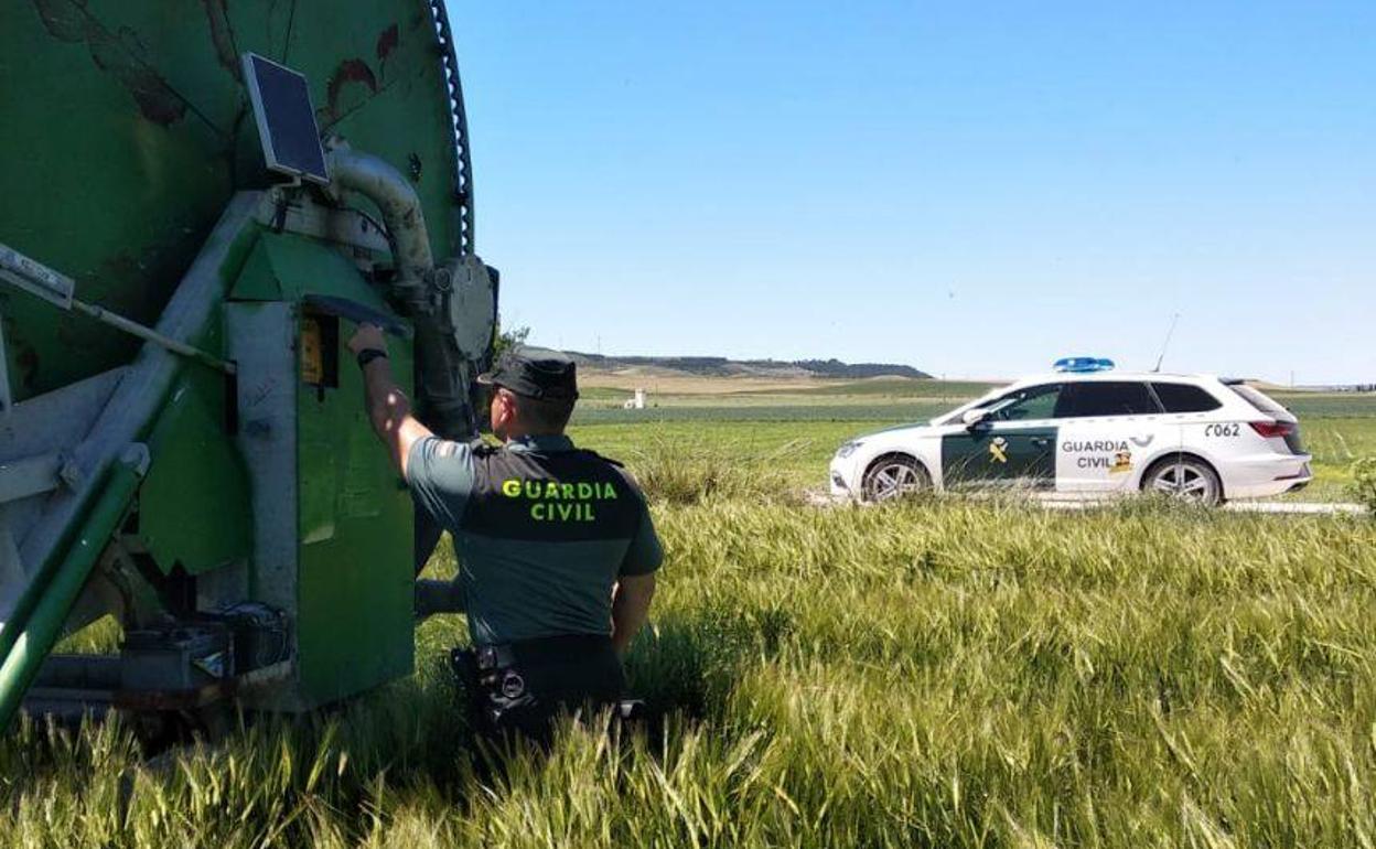 Los agentes de la Guardia Civil en una de las explotaciones agrícolas.