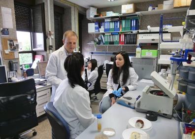 Imagen secundaria 1 - En busca de una cura para la dehesa que salve al jamón ibérico