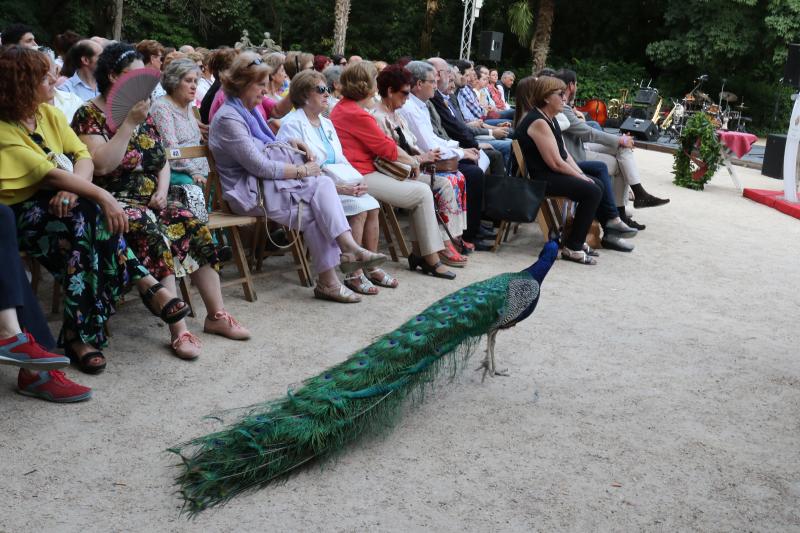 Proclamación del dramaturgo vallisoletano José Luis Alonso de Santos, como Letraherido 2019