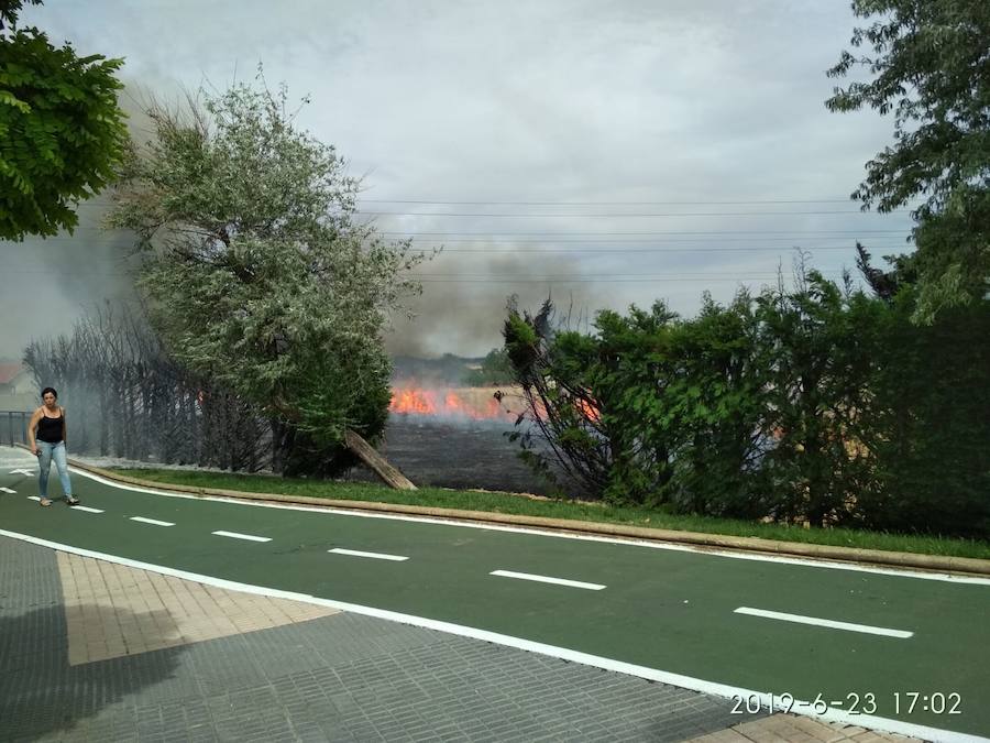 Fotos: Fuego en la zona entre Puente Ladrillo y Cabrerizos en Salamanca