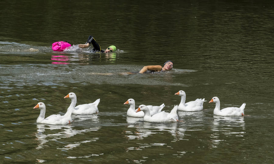 Fotos: Las altas temperaturas llegan a Valladolid