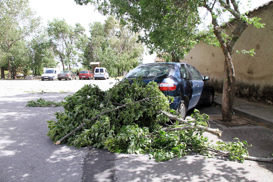 Fotos: Efectos del vendaval en Segovia y Torrecaballeros