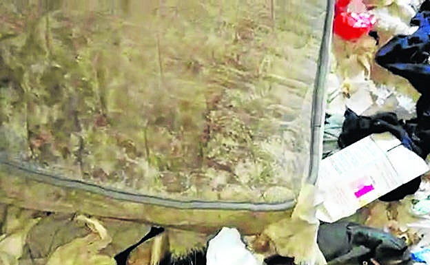 Basura acumulada en las habitaciones de la vivienda antes de que el propietario y sus familiares procedieran a su limpieza. 