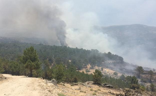 Incendio entre Gavilanes y Pedro Bernardo, en el Valle del Tiétar.