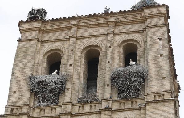 Imagen principal - Arriba, la torre de San Martín, en Becerril de Campos. Abajo, a la izquierda, iglesia parroquial de Torremormojón y a la derecha, Iglesia de San Agustín, en Dueñas. 