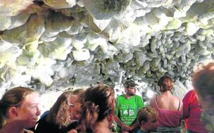 Cristales de celestita &#039;capados&#039; en una bodega alemana 