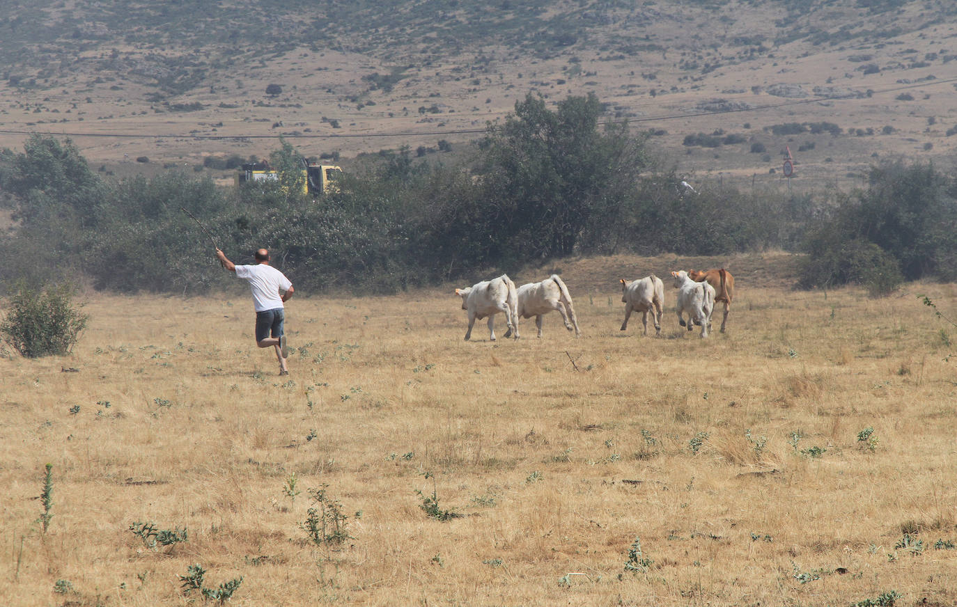 Fotos: Incendio en Trescasas (y 2)