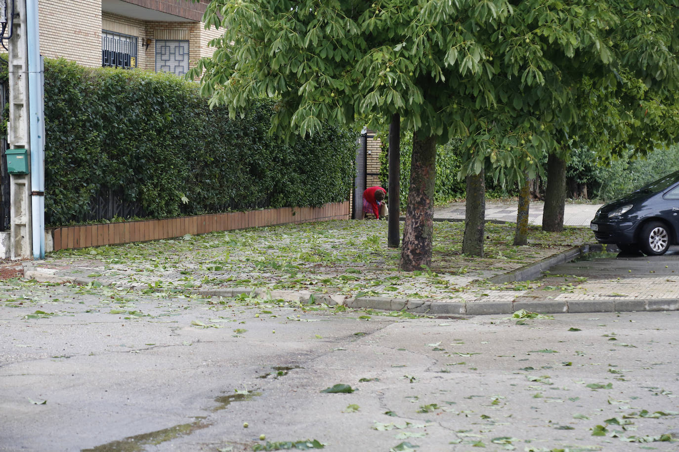 Fotos: Una tormenta anega veinte garajes en Grijota y causa daños en Palencia capital