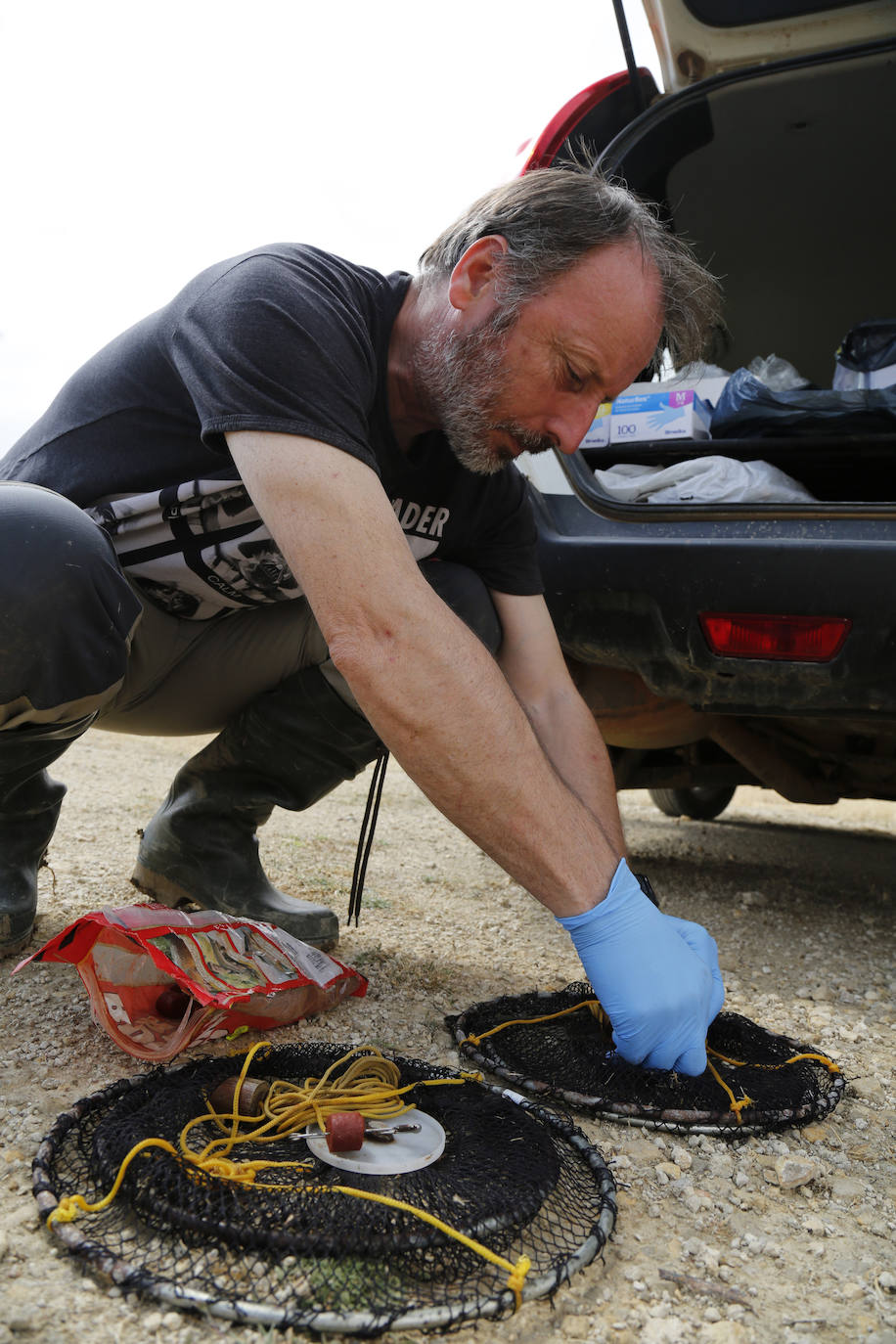 Fotos: Investigadores del Csic estudian la plaga de topillos en tierra de campos ( Palencia )