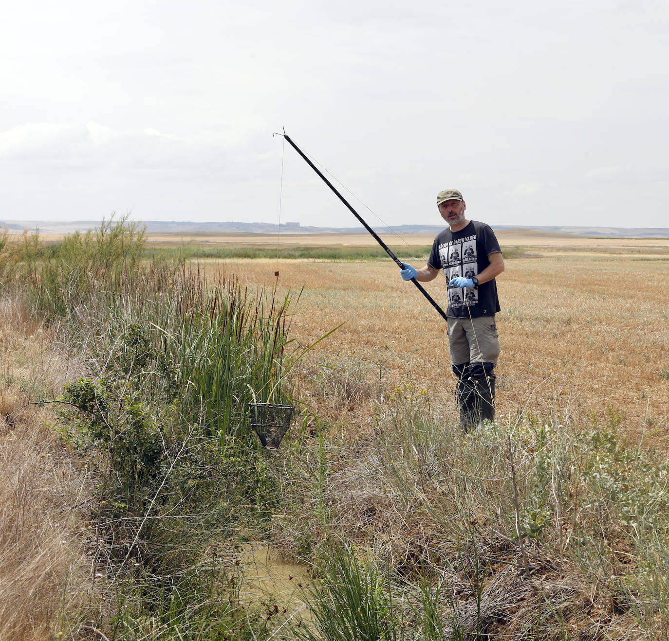 Fotos: Investigadores del Csic estudian la plaga de topillos en tierra de campos ( Palencia )