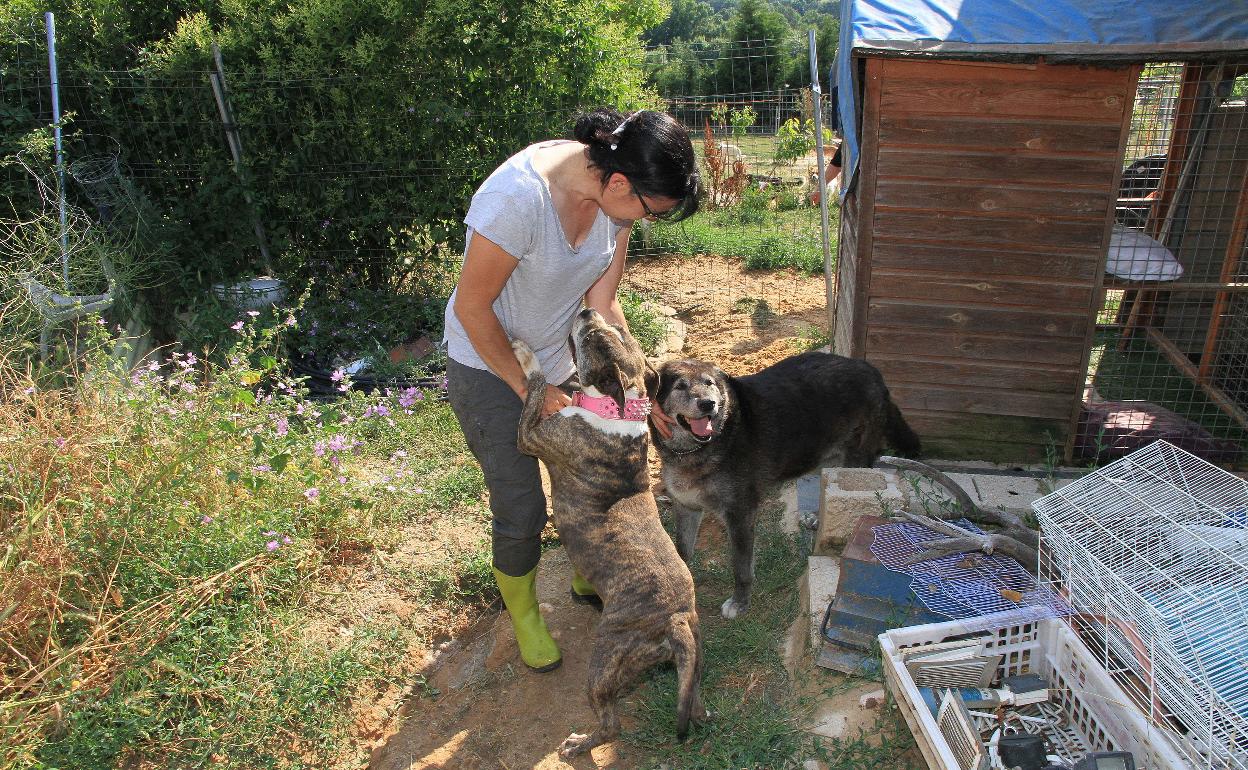 Beatriz Touriñán, con dos perros de la protectora Animalejos. 