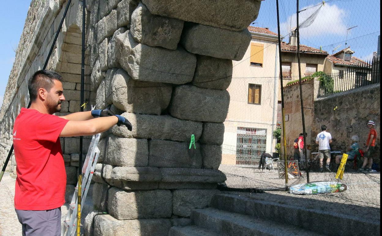 Jornada de anillamiento de vencejos en el Acueducto.