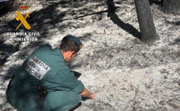 El contacto de ramas con tendido eléctrico, posible causa del fuego de Gavilanes