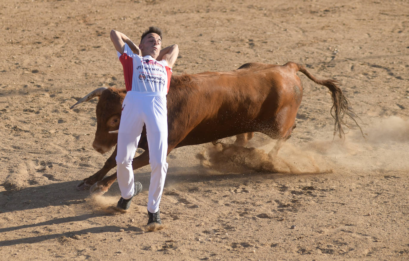 Fotos: Concurso de cortes en Matapozuelos