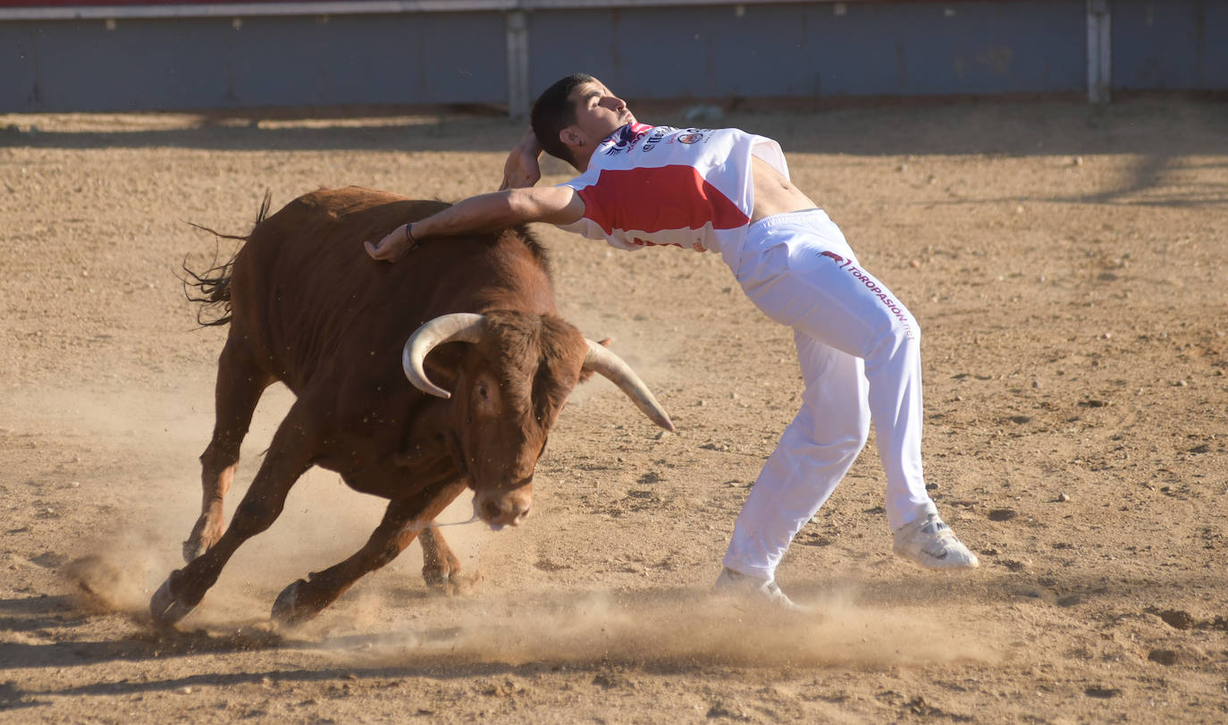 Fotos: Concurso de cortes en Matapozuelos