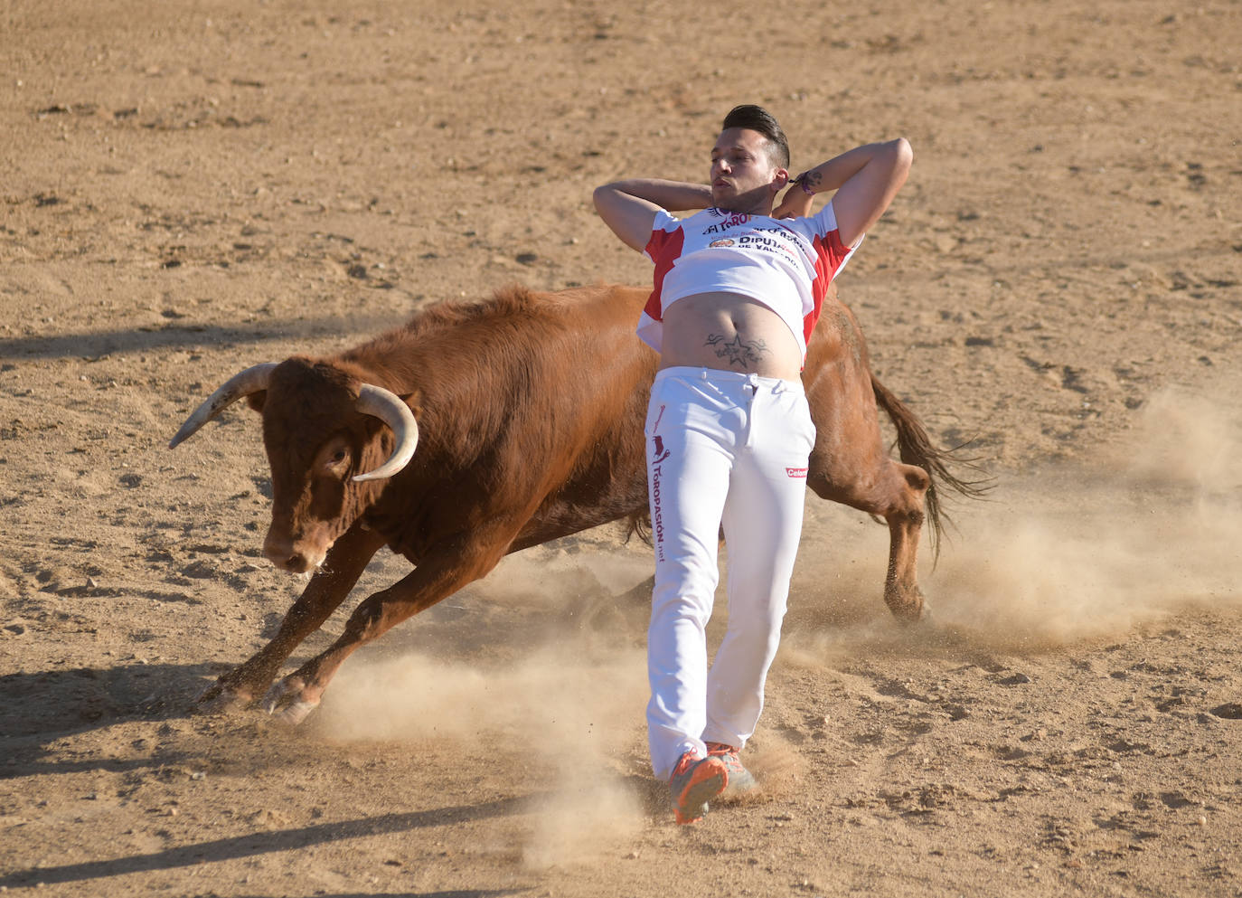 Fotos: Concurso de cortes en Matapozuelos