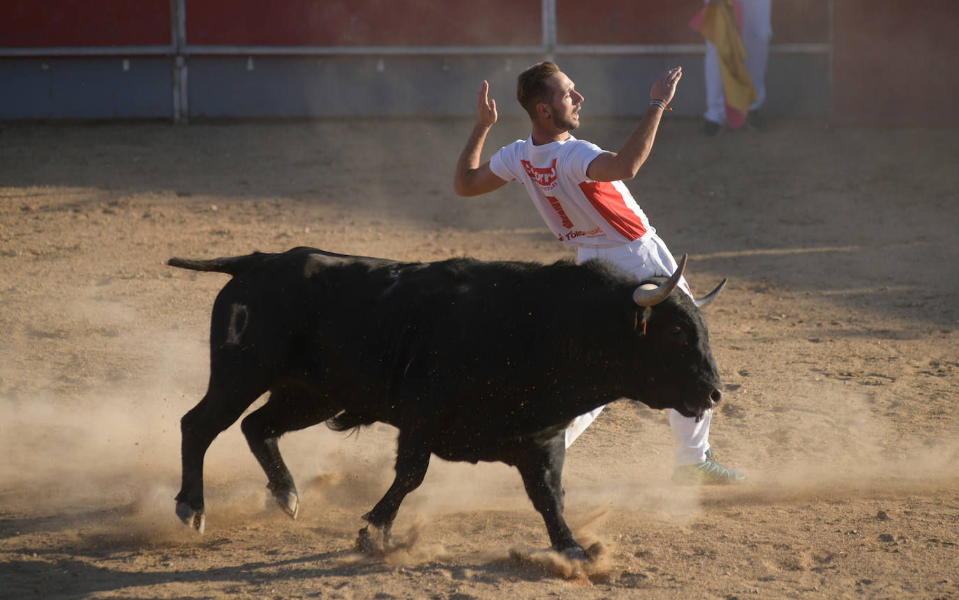 Fotos: Concurso de cortes en Matapozuelos