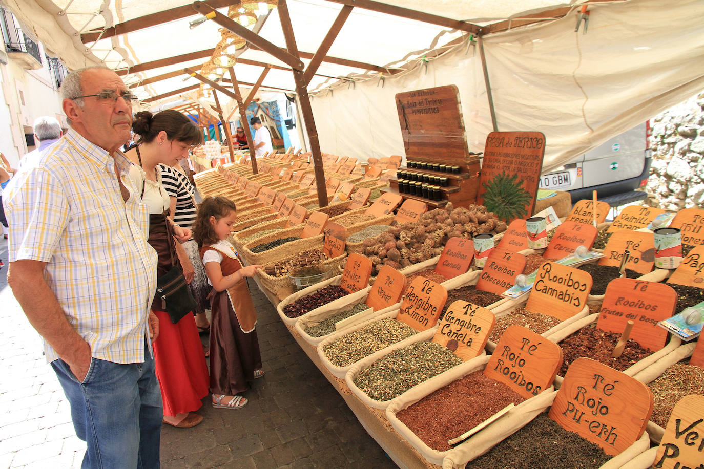Fotos: Fiesta de los Fueros de Sepúlveda