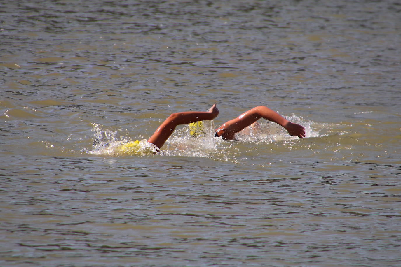 Los recorridos de natación, ciclismo y carrera a pie han discurrido exclusivamente por los caminos de sirga y las aguas de esta infraestructura simbólica de Tierra de Campos