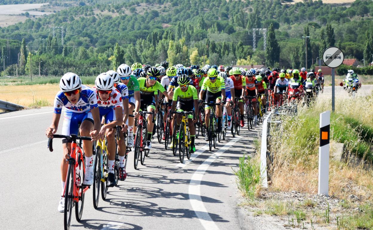 Los ciclistas en plena competición por las carreteras vallisoletanas. 