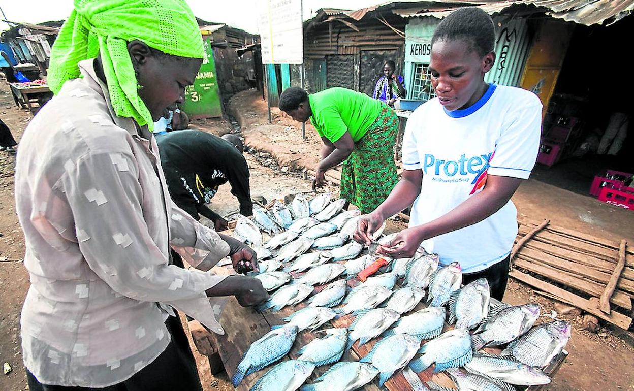 Una pescadera vende tilapias en un puesto callejero de Kibera, el mayor barrio de chabolas de Nairobi.