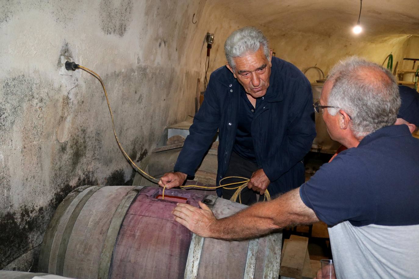 Fotos: Dueñas Promociona sus Bodegas y Cuevas