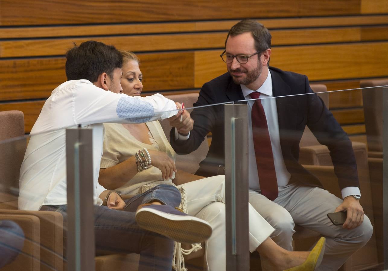 Los votos a favor de PP y Ciudadanos han convertido al vitoriano Javier Maroto en nuevo senador autonómico por Castilla y León | El vicesecretario de Organización del PP (sin vinculación anterior con la comunidad) ha sido elegido como miembro de la Cámara Alta, junto con los socialistas Teresa López y Fran Díaz, en una votación conjunta, no exenta de polémica.