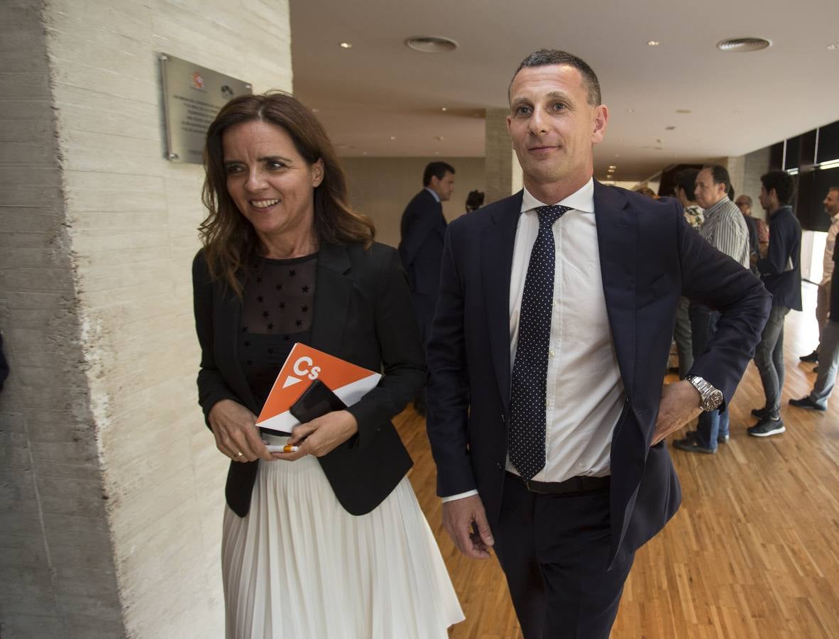 Los votos a favor de PP y Ciudadanos han convertido al vitoriano Javier Maroto en nuevo senador autonómico por Castilla y León | El vicesecretario de Organización del PP (sin vinculación anterior con la comunidad) ha sido elegido como miembro de la Cámara Alta, junto con los socialistas Teresa López y Fran Díaz, en una votación conjunta, no exenta de polémica.