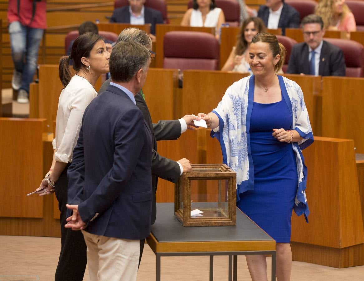 Los votos a favor de PP y Ciudadanos han convertido al vitoriano Javier Maroto en nuevo senador autonómico por Castilla y León | El vicesecretario de Organización del PP (sin vinculación anterior con la comunidad) ha sido elegido como miembro de la Cámara Alta, junto con los socialistas Teresa López y Fran Díaz, en una votación conjunta, no exenta de polémica.