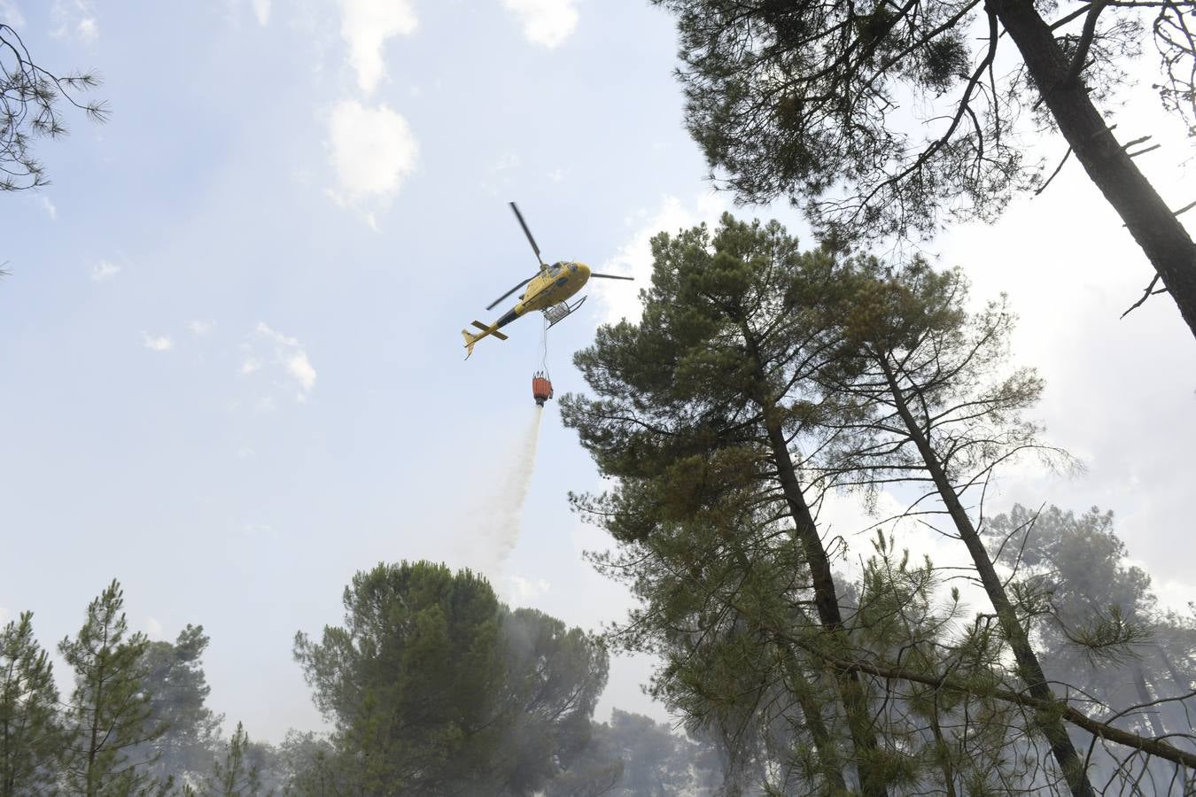 El incendio se ha declarado alrededor de las 15:00 horas en un pinar, en el área recreativa del Puente Hinojo.