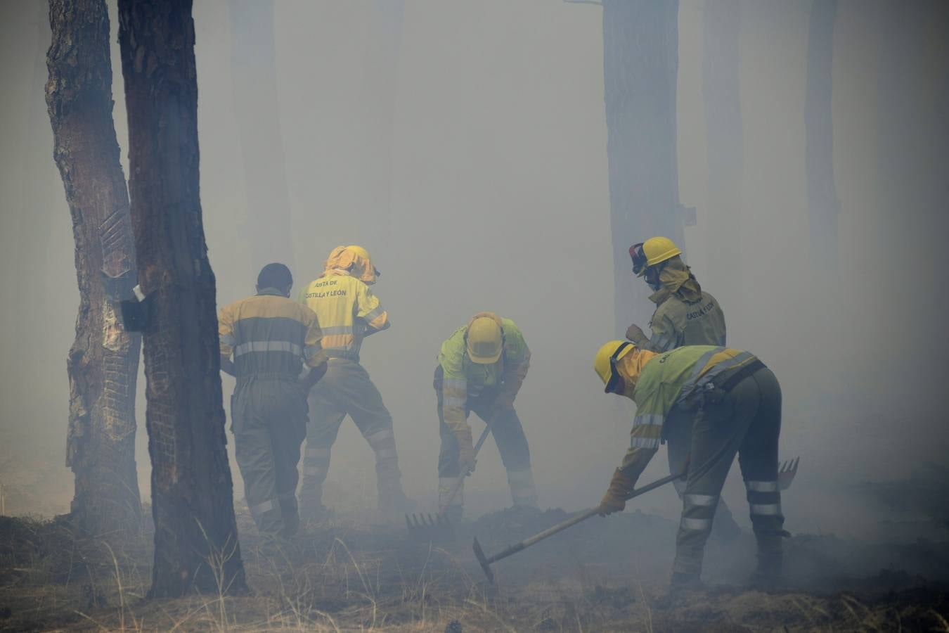 El incendio se ha declarado alrededor de las 15:00 horas en un pinar, en el área recreativa del Puente Hinojo.