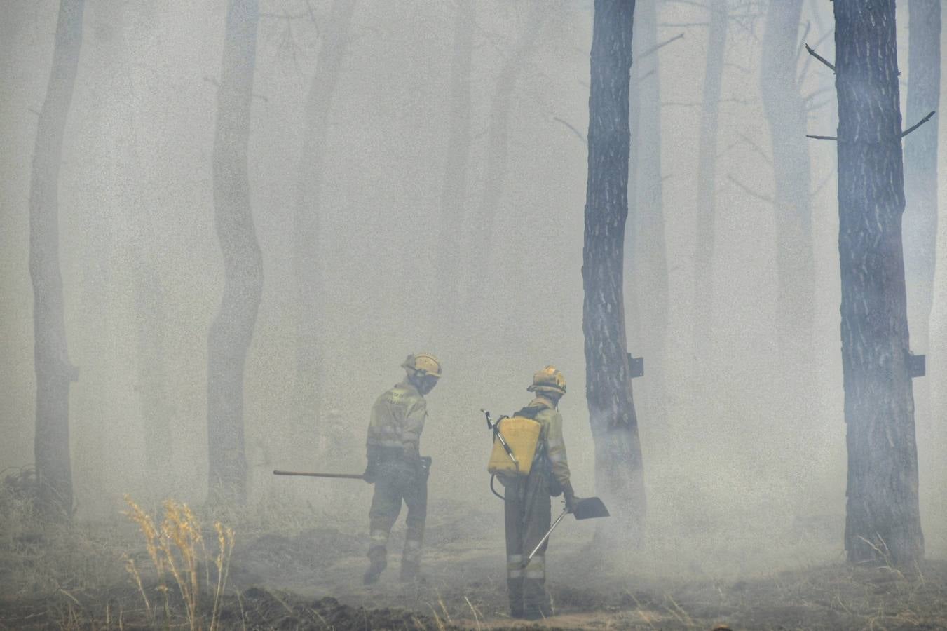 El incendio se ha declarado alrededor de las 15:00 horas en un pinar, en el área recreativa del Puente Hinojo.