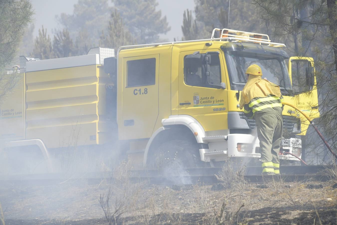 El incendio se ha declarado alrededor de las 15:00 horas en un pinar, en el área recreativa del Puente Hinojo.