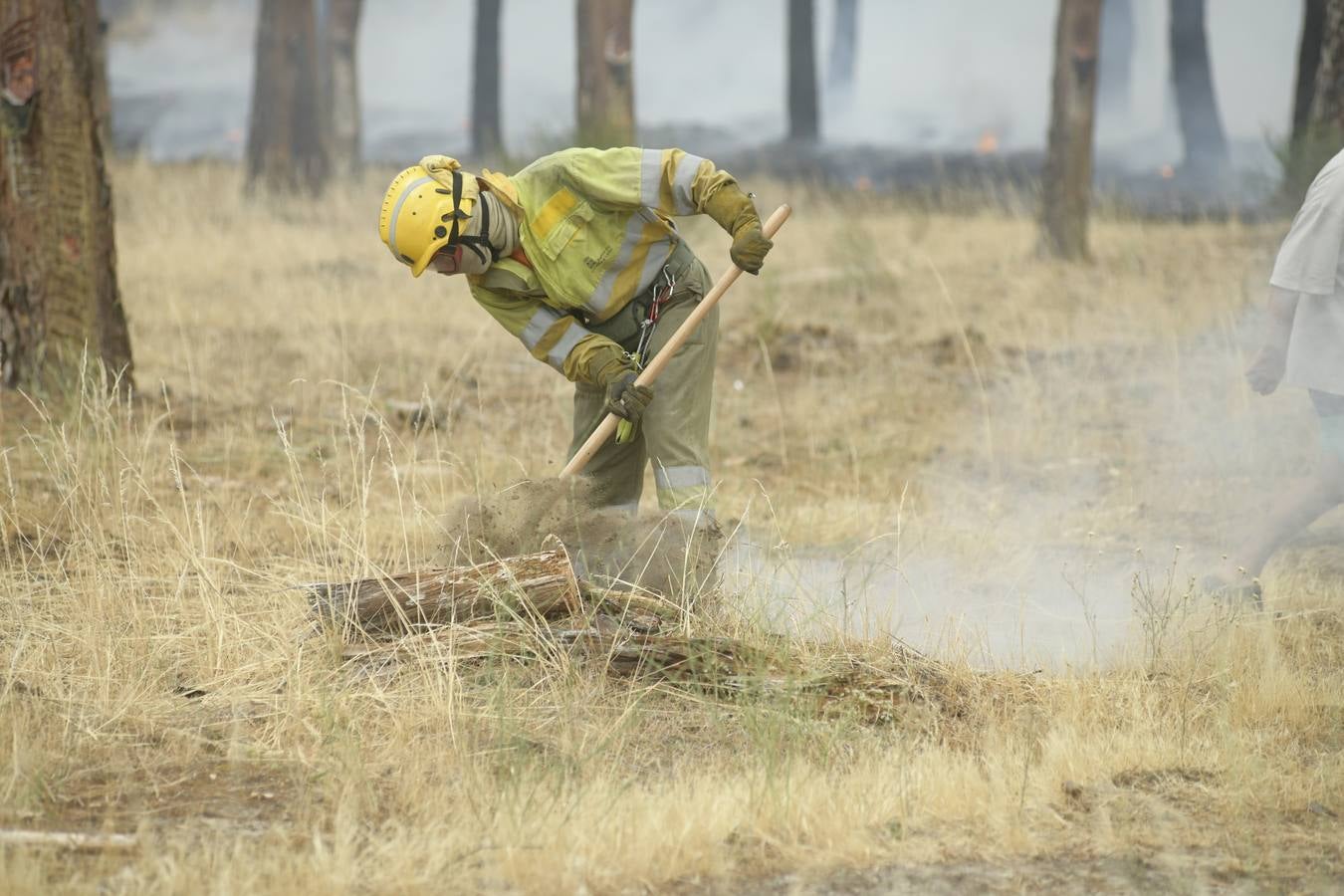 El incendio se ha declarado alrededor de las 15:00 horas en un pinar, en el área recreativa del Puente Hinojo.