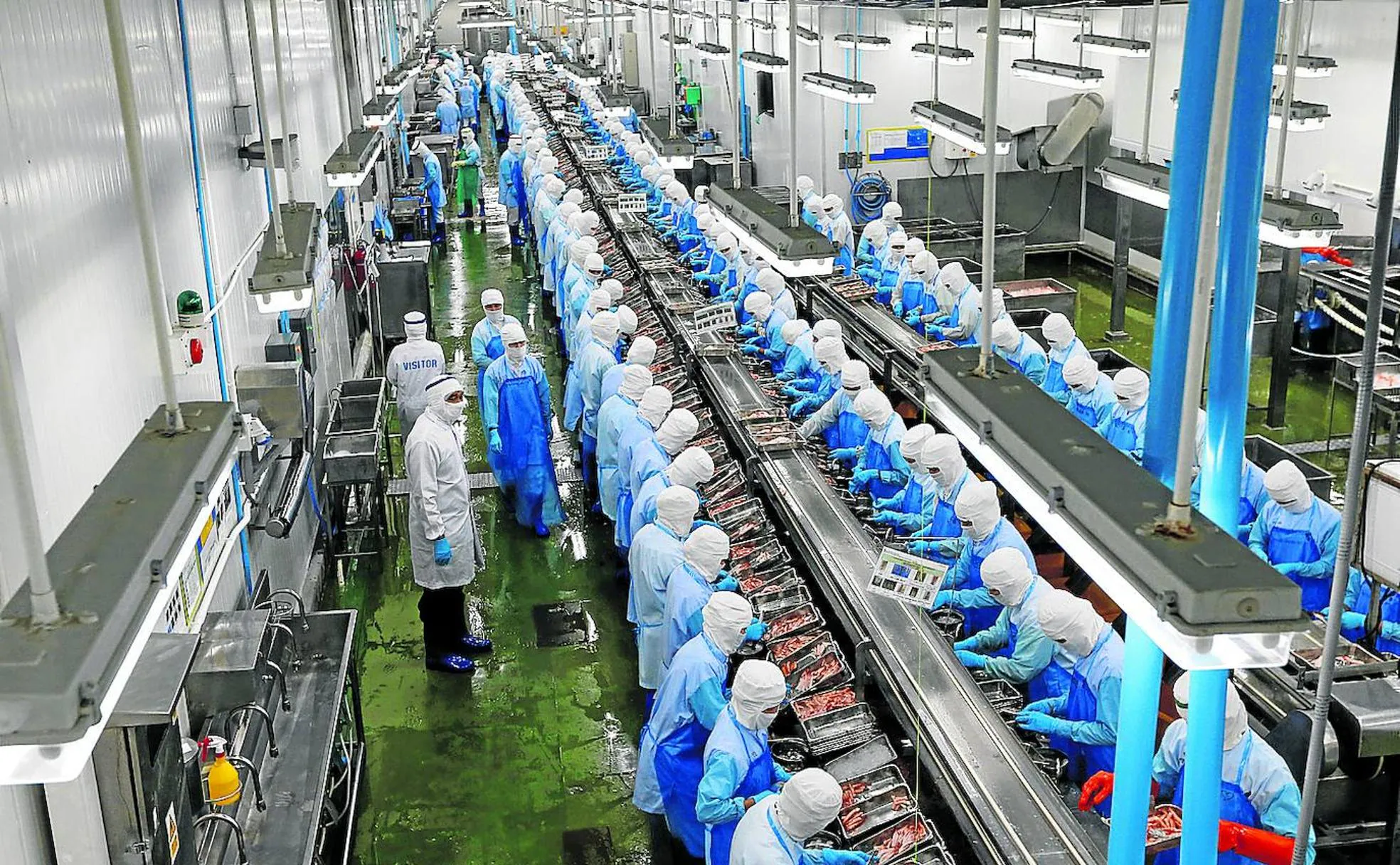 Trabajadores de una planta tailandesa de envasado de gambas, donde son habituales las jornadas interminables.