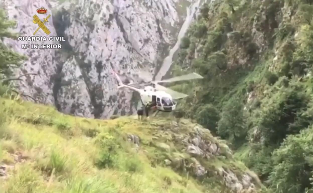Rescate del Greim en Picos de Europa. 