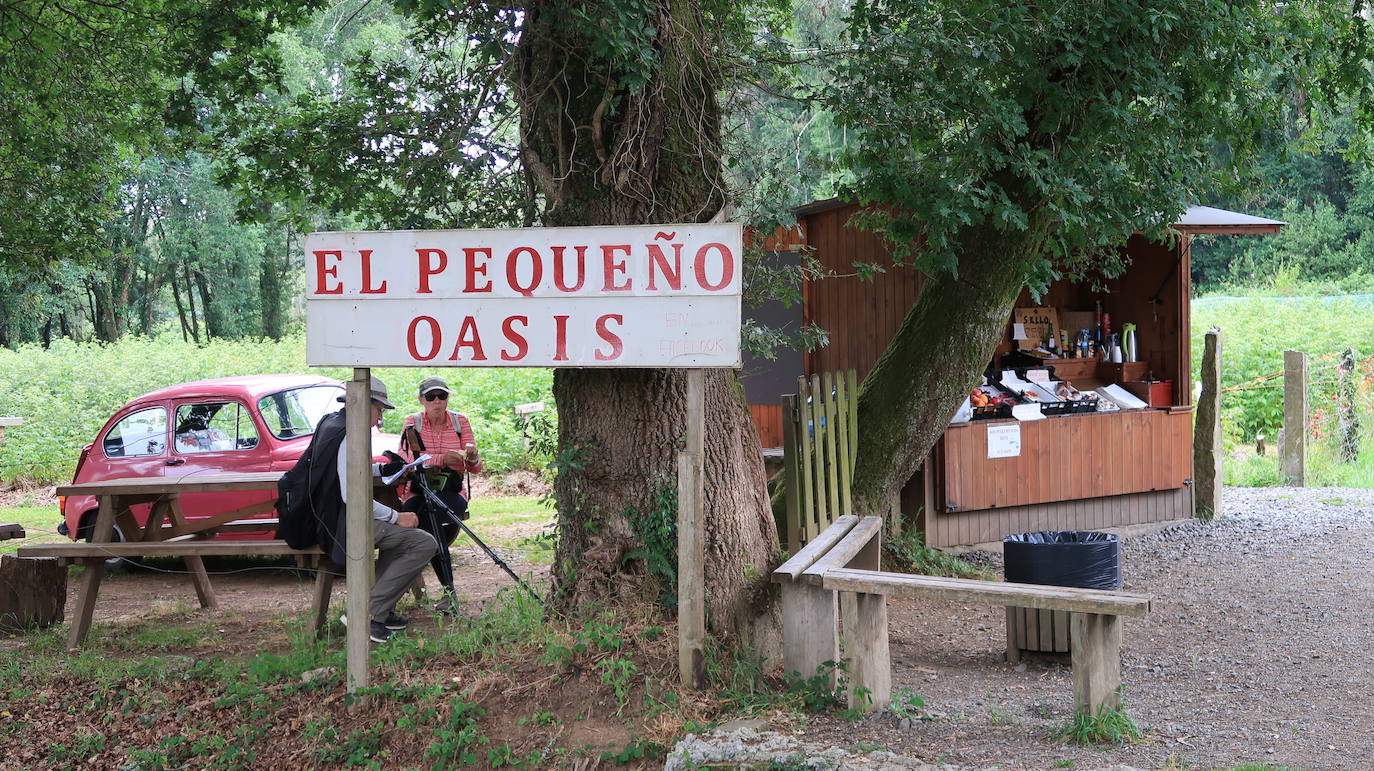 Naturaleza, cultura y amistad convergen en la peregrinación hacia Santiago de Compostela