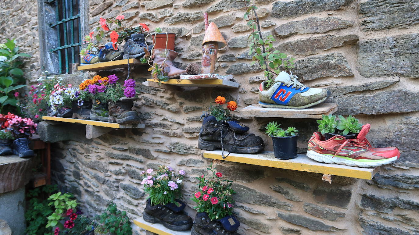 Naturaleza, cultura y amistad convergen en la peregrinación hacia Santiago de Compostela