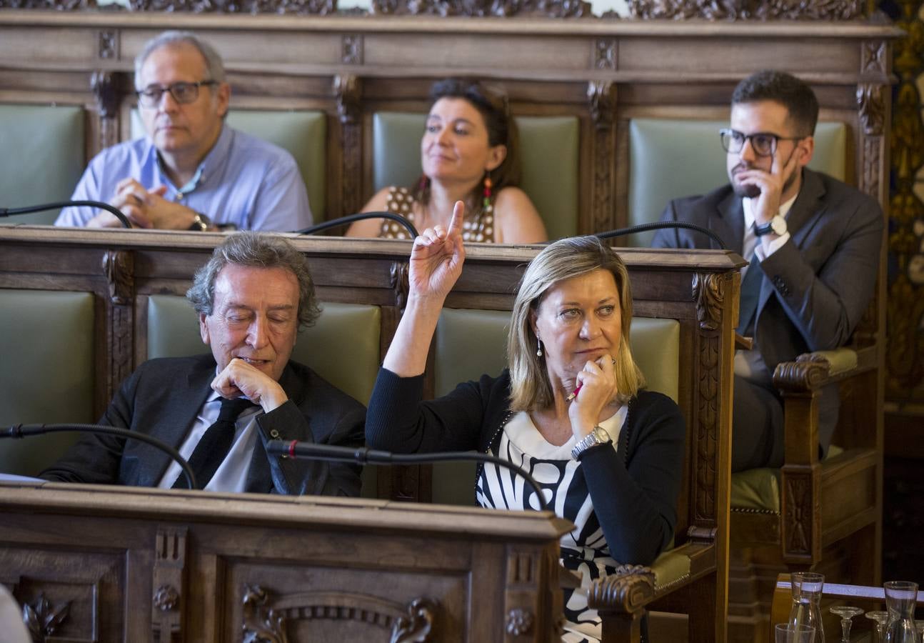 Fotos: Pleno en el Ayuntamiento de Valladolid
