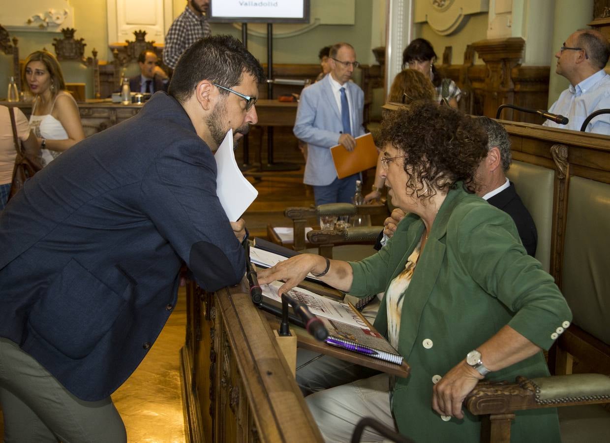 Fotos: Pleno en el Ayuntamiento de Valladolid