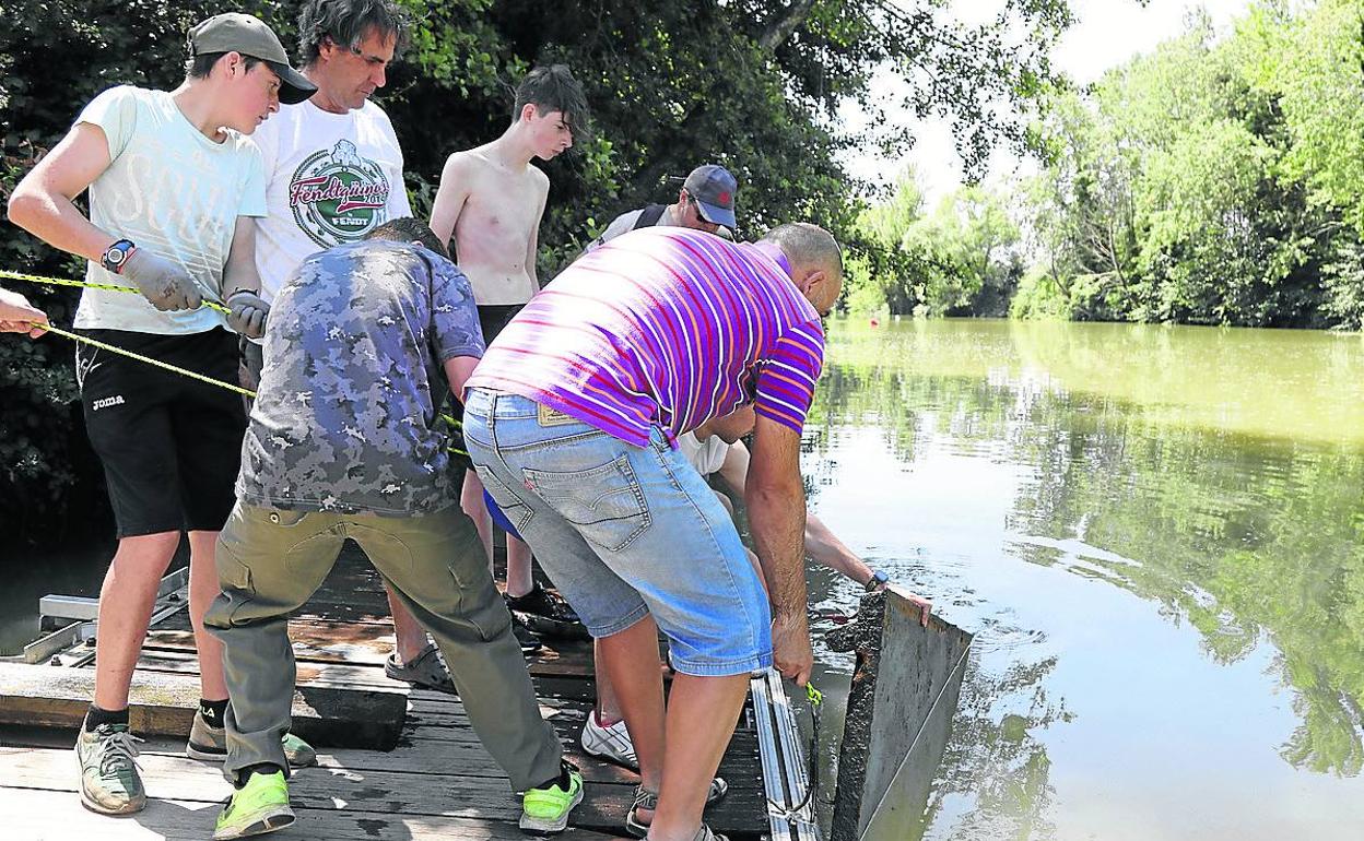 Los voluntarios intentan sacar una placa de metal del Carrión el pasado 7 de julio.