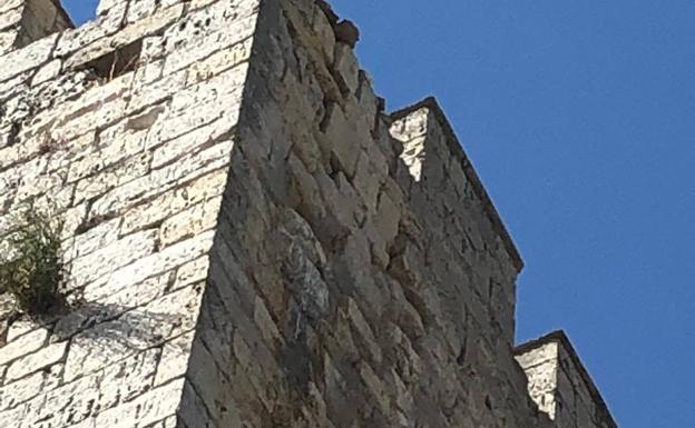 Piedras sueltas por el desprendimiento. 