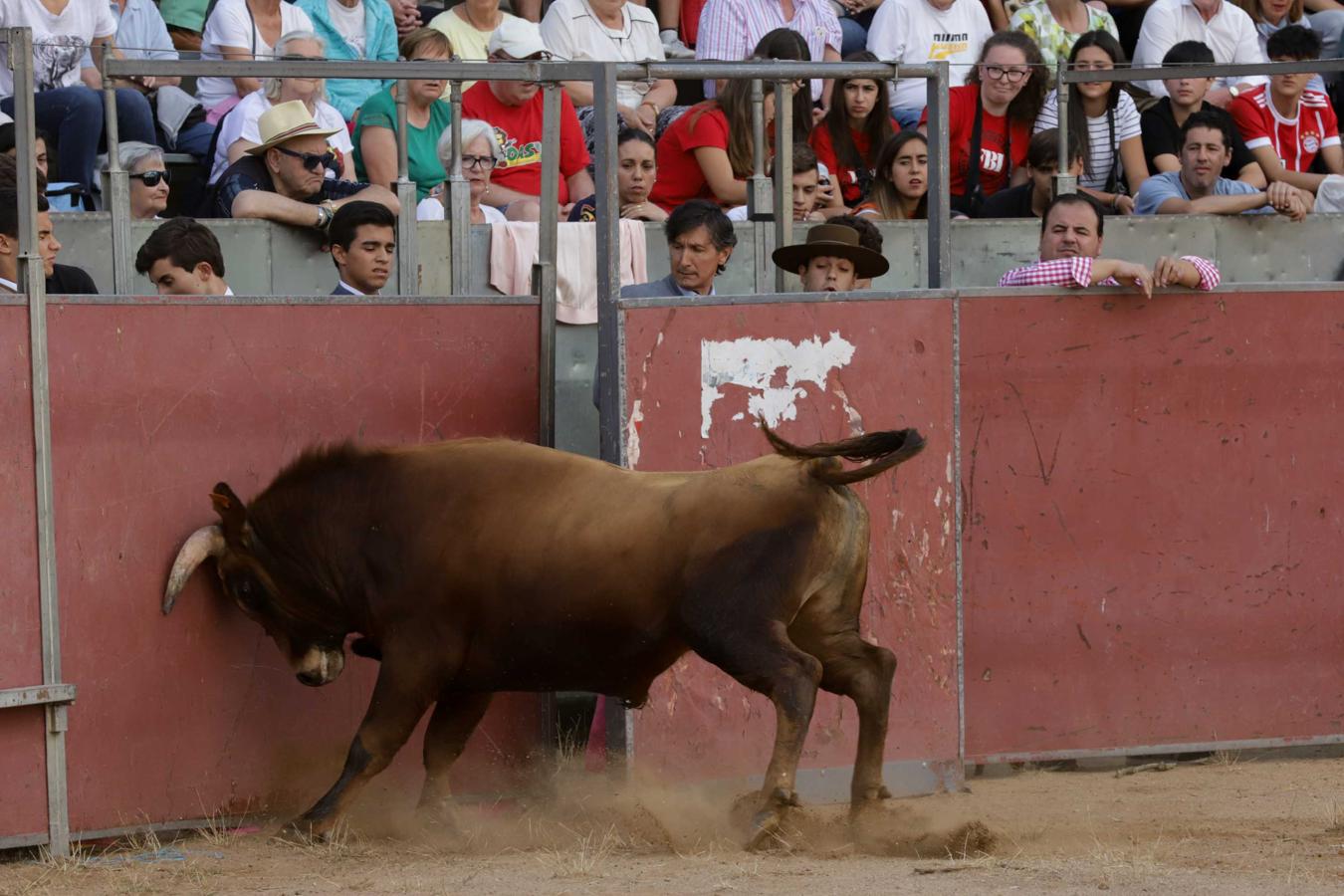 Candelario se despide de las fiestas de Santa Ana